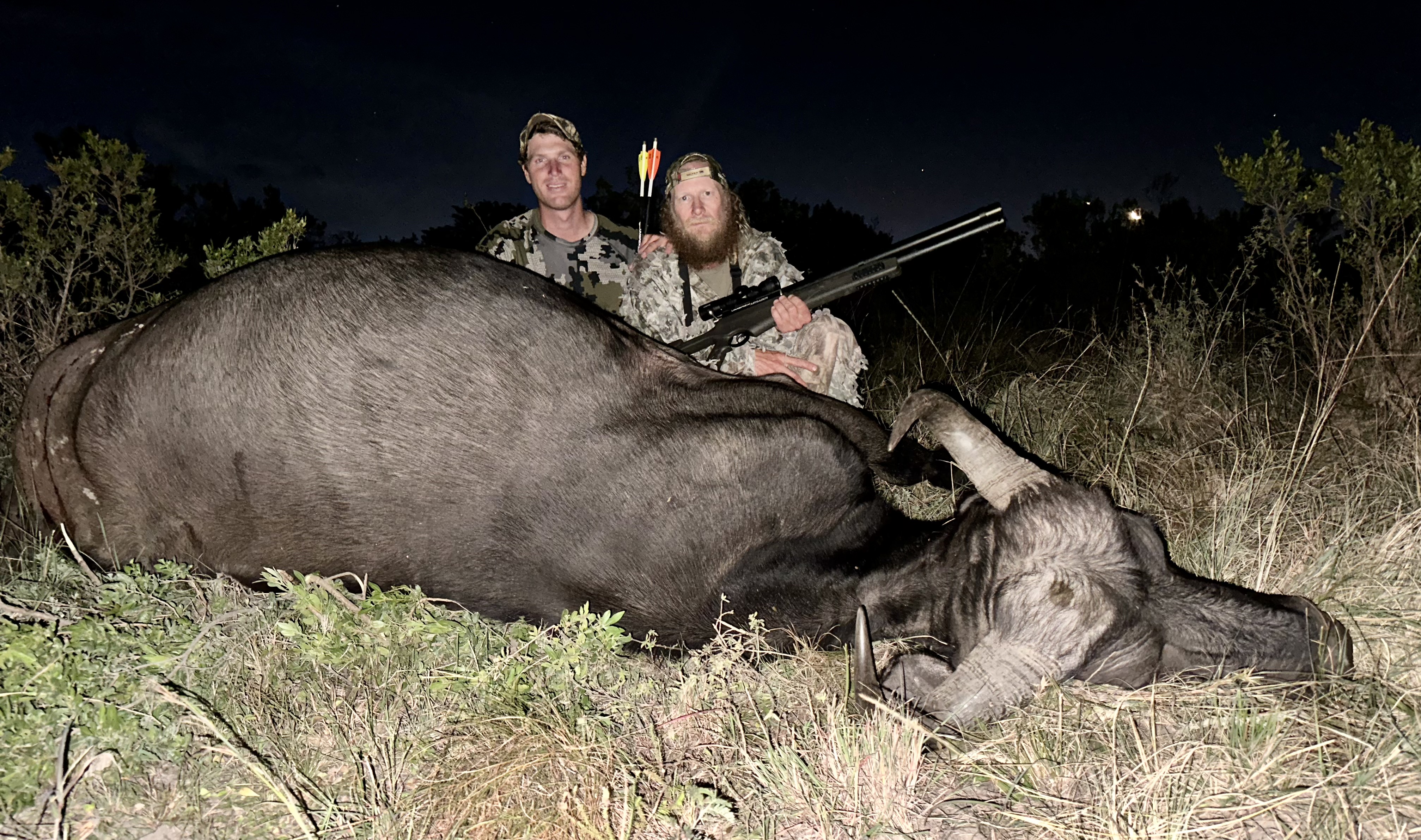 Chris Cook cape buffalo with umarex airsaber